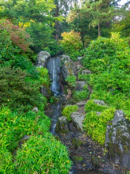 Ogród Kubota Jest Hektarowym 000 Japońskim Ogrodem Dzielnicy Rainier Beach — Zdjęcie stockowe