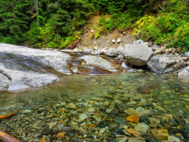 Denny Creek Patikası son derece popüler ve iyi bir nedeni var! Doğal bir su kaydırağı, iki büyük şelale, bir sürü eski orman ve harika manzaralı açık alanlar, ve güzel Alp Gölleri..
