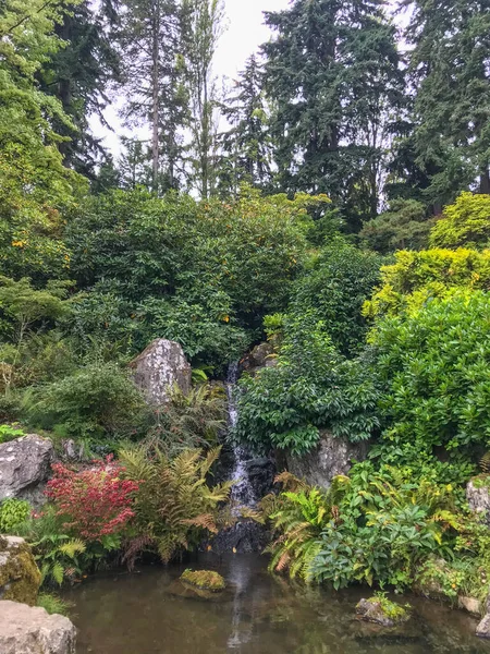 Kubota Garden Jardín Japonés 000 Acres Barrio Rainier Beach Seattle — Foto de Stock
