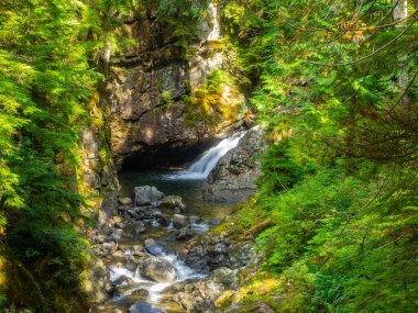 Franklin Şelalesi, Snoqualmie Nehri 'nin güney çatalında, South Fork Snoqualmie Nehri üzerindeki üç büyük şelaleden ilki olan bir şelaledir. Şelale, Amerika Birleşik Devletleri 'nin başkenti Washington' daki King County 'de Snoqualmie Geçidi yakınlarında yer almaktadır.