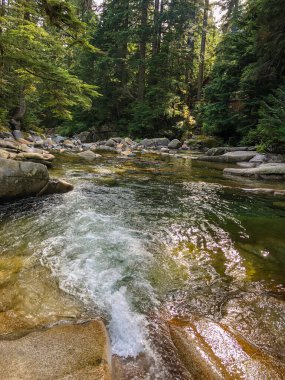 Franklin Şelalesi, Snoqualmie Nehri 'nin güney çatalında, South Fork Snoqualmie Nehri üzerindeki üç büyük şelaleden ilki olan bir şelaledir. Şelale, Amerika Birleşik Devletleri 'nin başkenti Washington' daki King County 'de Snoqualmie Geçidi yakınlarında yer almaktadır.