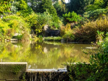 Kubota Garden, Washington, Seattle 'da bulunan Rainier Beach' te 81.000 metrekarelik bir Japon bahçesidir. Kubota Bahçesi 'nin başlıca özellikleri Kubota Terası, Bambu Korusu, Göletlerin Kolyesi, Dağ Yamacıdır., 