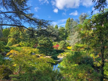 Kubota Garden, Washington, Seattle 'da bulunan Rainier Beach' te 81.000 metrekarelik bir Japon bahçesidir. Kubota Bahçesi 'nin başlıca özellikleri Kubota Terası, Bambu Korusu, Göletlerin Kolyesi, Dağ Yamacıdır., 