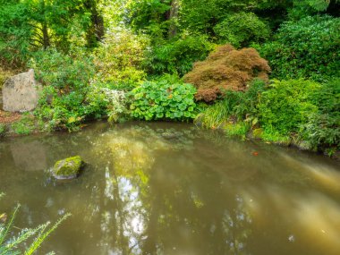 Kubota Garden, Washington, Seattle 'da bulunan Rainier Beach' te 81.000 metrekarelik bir Japon bahçesidir. Kubota Bahçesi 'nin başlıca özellikleri Kubota Terası, Bambu Korusu, Göletlerin Kolyesi, Dağ Yamacıdır., 