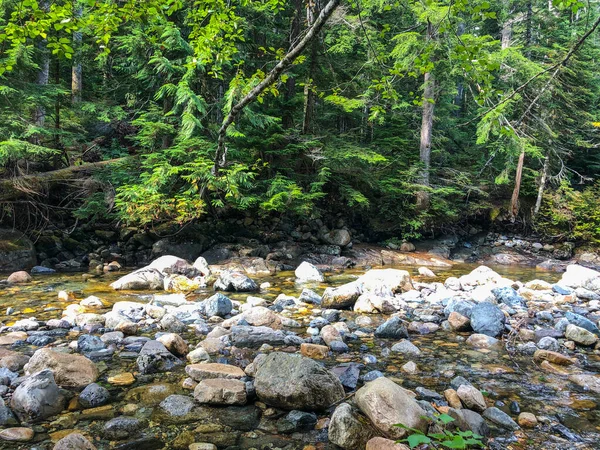 프랭클린 Franklin Falls Snoqualmie River South Fork 폭포로 포크스 리강에 — 스톡 사진