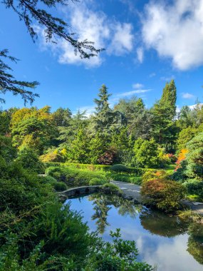 Kubota Garden, Washington, Seattle 'da bulunan Rainier Beach' te 81.000 metrekarelik bir Japon bahçesidir. Kubota Bahçesi 'nin başlıca özellikleri Kubota Terası, Bambu Korusu, Göletlerin Kolyesi, Dağ Yamacıdır., 