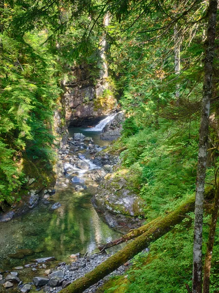 Franklin Falls Είναι Ένας Καταρράκτης Στο Νότιο Πιρούνι Του Ποταμού — Φωτογραφία Αρχείου