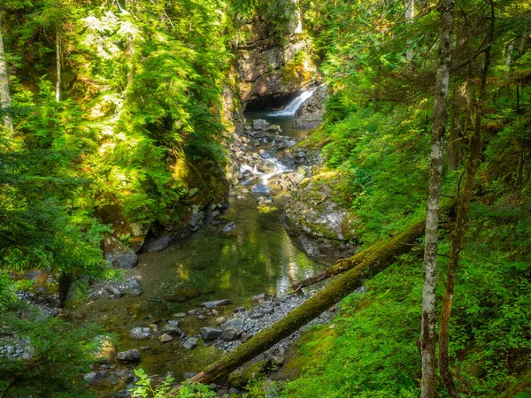 Franklin Falls Ett Vattenfall Södra Gaffeln Floden Snoqualmie Den Första — Stockfoto