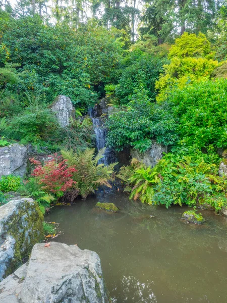 Kubota Garden Jardim Japonês 000 Bairro Rainier Beach Seattle Washington — Fotografia de Stock