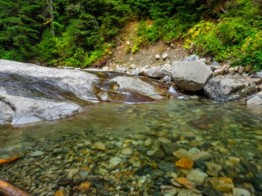 Denny Creek Patikası son derece popüler ve iyi bir nedeni var! Doğal bir su kaydırağı, iki büyük şelale, bir sürü eski orman ve harika manzaralı açık alanlar, ve güzel Alp Gölleri..