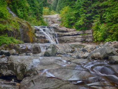 Denny Creek Patikası son derece popüler ve iyi bir nedeni var! Doğal bir su kaydırağı, iki büyük şelale, bir sürü eski orman ve harika manzaralı açık alanlar, ve güzel Alp Gölleri..