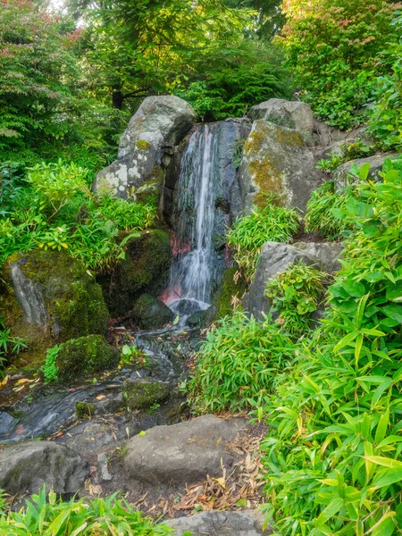 Kubota Garden Giardino Giapponese 000 Situato Nel Quartiere Rainier Beach — Foto Stock