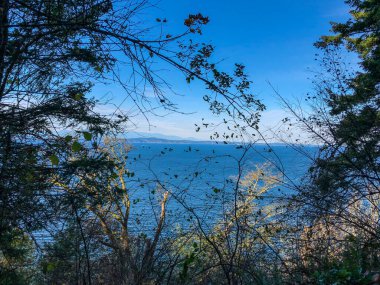 Lincoln Park, Batı Seattle 'da Fauntleroy Yolu S.W. ve Puget Sound 'da. Seattle 'ın en büyük parklarından biri, plaj boyunca uzanan asfalt yol, tenis kortları, beyzbol sahaları, piknik sığınakları ve bir de