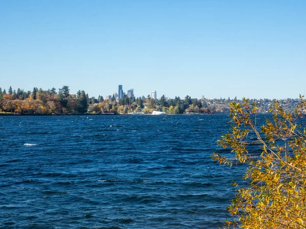 Seward Park Park Miejski Seattle Waszyngton Stany Zjednoczone Położony Sąsiedztwie — Zdjęcie stockowe