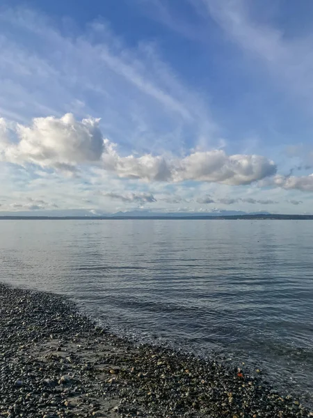 Carkeek Park 216 Hektar Park Belägen Broadview Stadsdelen Seattle Washington — Stockfoto