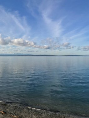 Carkeek Park, Washington eyaletinin Broadview semtinde yer alan 216 dönümlük bir parktır. Park Piper Orchard, Pipers Creek (ve onun kolları Venema Creek ve Mohlendorf Creek), oyun ve piknik alanları, piknik barınakları ve