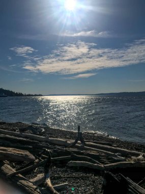 Lincoln Park, Batı Seattle 'da Fauntleroy Yolu S.W. ve Puget Sound 'da. Seattle 'ın en büyük parklarından biri, plaj boyunca uzanan asfalt yol, tenis kortları, beyzbol sahaları, piknik sığınakları ve bir de