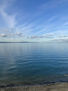 Carkeek Park, Washington eyaletinin Broadview semtinde yer alan 216 dönümlük bir parktır. Park Piper Orchard, Pipers Creek (ve onun kolları Venema Creek ve Mohlendorf Creek), oyun ve piknik alanları, piknik barınakları ve
