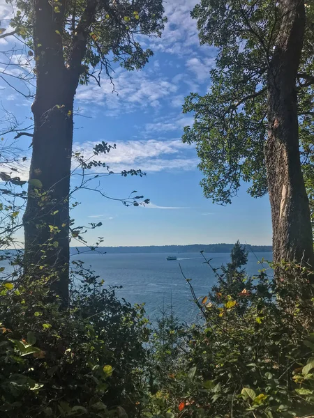 Lincoln Park Parque 135 Acres Km2 Oeste Seattle Entre Fauntleroy — Fotografia de Stock