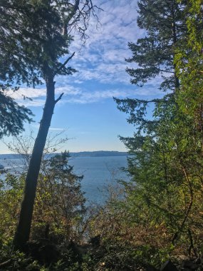 Lincoln Park, Batı Seattle 'da Fauntleroy Yolu S.W. ve Puget Sound 'da. Seattle 'ın en büyük parklarından biri, plaj boyunca uzanan asfalt yol, tenis kortları, beyzbol sahaları, piknik sığınakları ve bir de