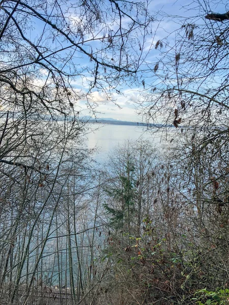 Carkeek Park Parque Hectares Localizado Bairro Broadview Seattle Washington Parque — Fotografia de Stock