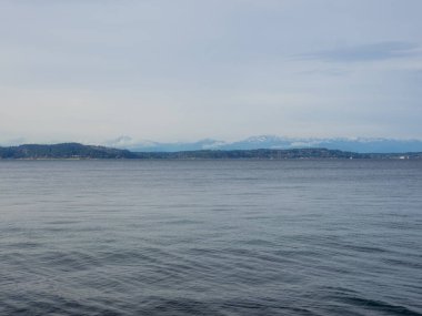 Alki Beach Park, Seattle, Washington 'ın batısında bulunan ve Alki Point ile Duwamish Head arasında Elliott Körfezi plajından oluşan 135.9 hektarlık bir parktır..