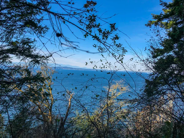 Lincoln Park Ist Ein Km2 Großer Park West Seattle Zwischen — Stockfoto