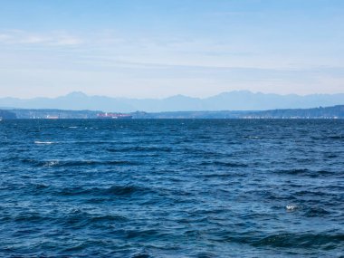 Lincoln Park, Batı Seattle 'da Fauntleroy Yolu S.W. ve Puget Sound 'da. Seattle 'ın en büyük parklarından biri, plaj boyunca uzanan asfalt yol, tenis kortları, beyzbol sahaları, piknik sığınakları ve bir de