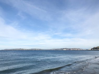 Alki Beach Park, Seattle, Washington 'ın batısında bulunan ve Alki Point ile Duwamish Head arasında Elliott Körfezi plajından oluşan 135.9 hektarlık bir parktır..