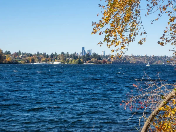 Seward Park Park Miejski Seattle Waszyngton Stany Zjednoczone Położony Sąsiedztwie — Zdjęcie stockowe