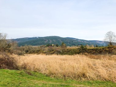 Northern State Hospital Sedro-Woolley, Washington 'da bulunan tarihi bir hastane kampüsüdür. Ulusal Tarihi Konumlar Sicilinde listelenmiştir..