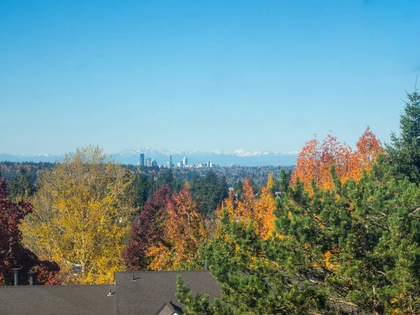 Seattle Skyline Uitzicht Zonnige Herfstdag — Stockfoto
