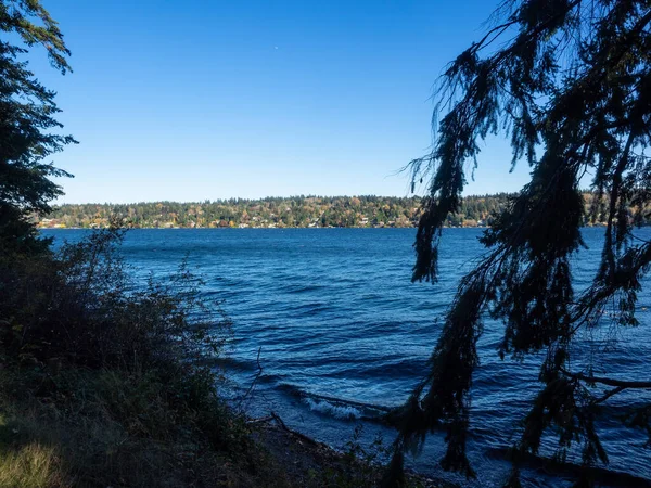 Seward Park Park Miejski Seattle Waszyngton Stany Zjednoczone Położony Sąsiedztwie — Zdjęcie stockowe