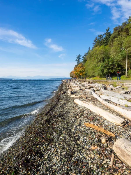 Lincoln Park Ist Ein Km2 Großer Park West Seattle Zwischen — Stockfoto