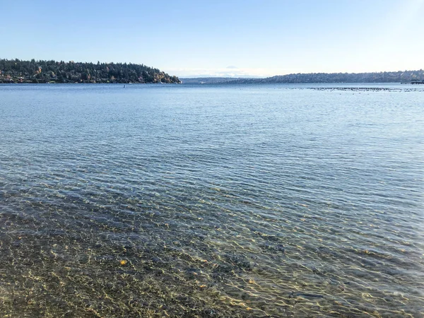 Seward Park Parco Comunale Seattle Washington Stati Uniti Situato Nell — Foto Stock