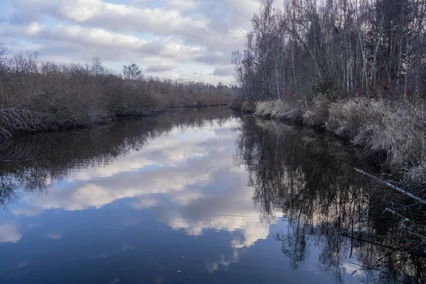 Přírodní Park Mercer Slough 320 Akrový Mokřad Hojně Obydlený Kapradinami — Stock fotografie