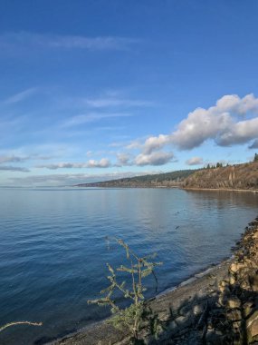 Carkeek Park, Washington eyaletinin Broadview semtinde yer alan 216 dönümlük bir parktır. Park Piper Orchard, Pipers Creek (ve onun kolları Venema Creek ve Mohlendorf Creek), oyun ve piknik alanları, piknik barınakları ve