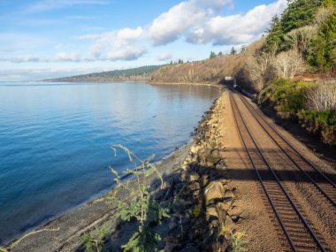 Carkeek Park, Washington eyaletinin Broadview semtinde yer alan 216 dönümlük bir parktır. Park Piper Orchard, Pipers Creek (ve onun kolları Venema Creek ve Mohlendorf Creek), oyun ve piknik alanları, piknik barınakları ve