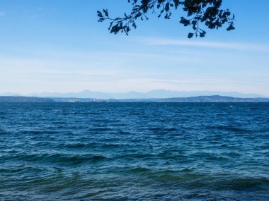 Lincoln Park, Batı Seattle 'da Fauntleroy Yolu S.W. ve Puget Sound 'da. Seattle 'ın en büyük parklarından biri, plaj boyunca uzanan asfalt yol, tenis kortları, beyzbol sahaları, piknik sığınakları ve bir de
