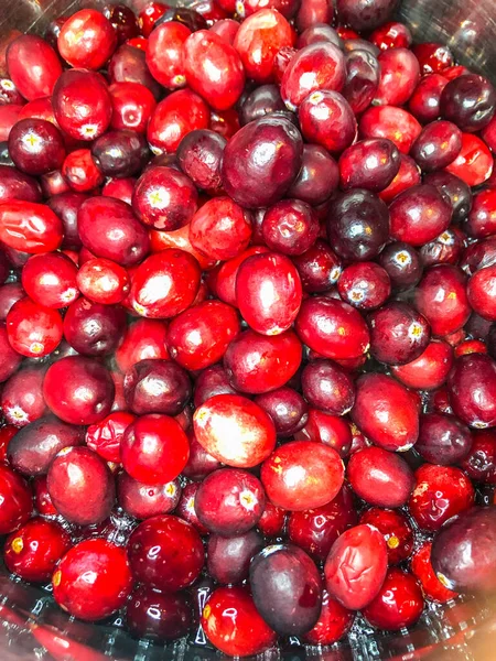 Cranberries Group Evergreen Dwarf Shrubs Trailing Vines Subgenus Oxycoccus Genus — Stock Photo, Image