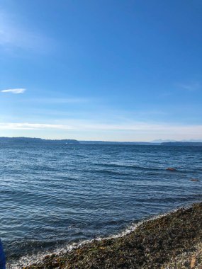Lincoln Park, Batı Seattle 'da Fauntleroy Yolu S.W. ve Puget Sound 'da. Seattle 'ın en büyük parklarından biri, plaj boyunca uzanan asfalt yol, tenis kortları, beyzbol sahaları, piknik sığınakları ve bir de