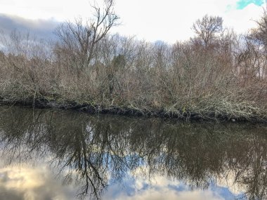 Mercer Slough Doğa Parkı 320 dönümlük sulu bir arazidir. Eğreltiotları, çalıları, çiçekleri, çeşitli meyveleri, farklı ahşap kaldırımları ve gölgeli yolları vardır..