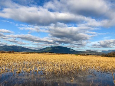 Samish Birimi, Skagit ilçesinin kuzeybatısındaki Padilla Körfezi 'ne komşu tarım arazileri ve sulak alanlardan oluşmaktadır. Bu yiyecek kaynaklarını geliştirmek için arpa, mısır ve bakla ekilen popüler bir su kuşu avı ve vahşi yaşam izleme sahası.
