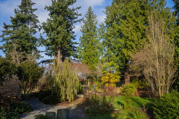 Evergreen Arboretum Gardens Både Plats För Skönhet Och Utbildning Som — Stockfoto