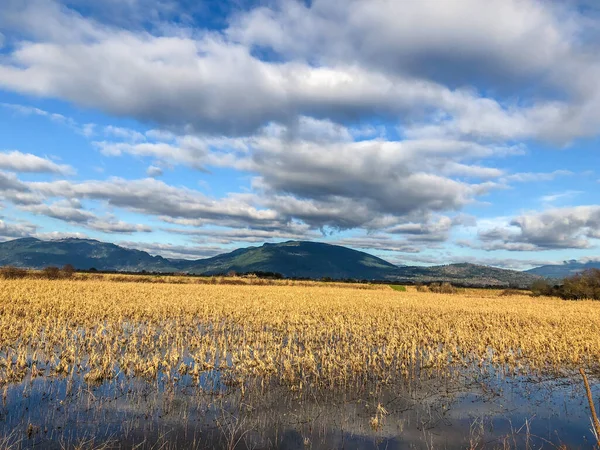 Samish Birimi, Skagit ilçesinin kuzeybatısındaki Padilla Körfezi 'ne komşu tarım arazileri ve sulak alanlardan oluşmaktadır. Bu yiyecek kaynaklarını geliştirmek için arpa, mısır ve bakla ekilen popüler bir su kuşu avı ve vahşi yaşam izleme sahası.