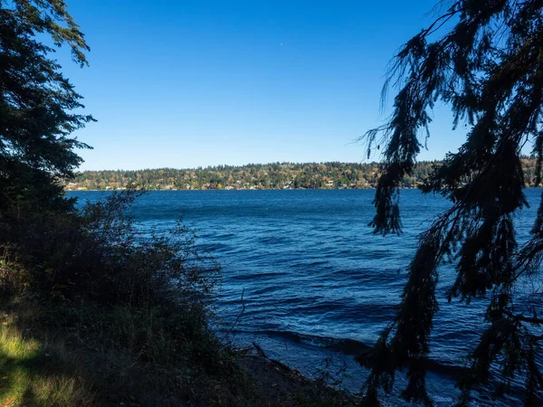 Seward Park Park Miejski Seattle Waszyngton Stany Zjednoczone Położony Sąsiedztwie — Zdjęcie stockowe