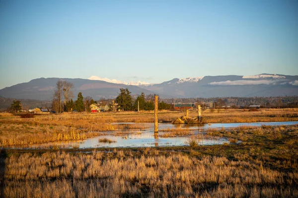 Unité Samish Comprend Des Champs Agricoles Des Terres Humides Situés — Photo