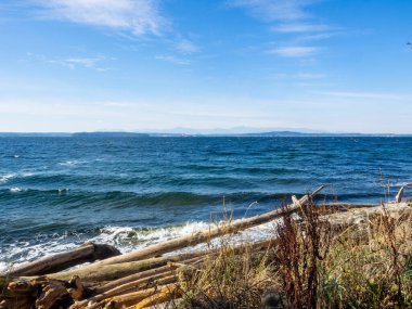 Lincoln Park, Batı Seattle 'da Fauntleroy Yolu S.W. ve Puget Sound 'da. Seattle 'ın en büyük parklarından biri, plaj boyunca uzanan asfalt yol, tenis kortları, beyzbol sahaları, piknik sığınakları ve bir de