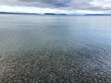 Howarth Park, Everett. Everett Rıhtımı 'nda 28 dönümlük, üç bitkin park. Yürümek ya da plajın ve bolca vahşi yaşamın tadını çıkarmak için harika bir yer..