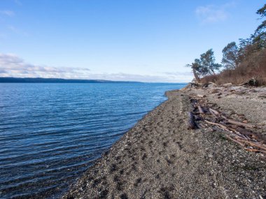 Cama Beach State Park, Washington, Island County 'deki Camano Adası' nın güneybatı kıyısında Saratoga Geçidi 'ne bakan bir dinlenme alanıdır. Eyalet parkı yenilenmiş, modernize edilmiş 1930 'lu yılların otomobil mahkemesi ve balıkçılık merkezi.